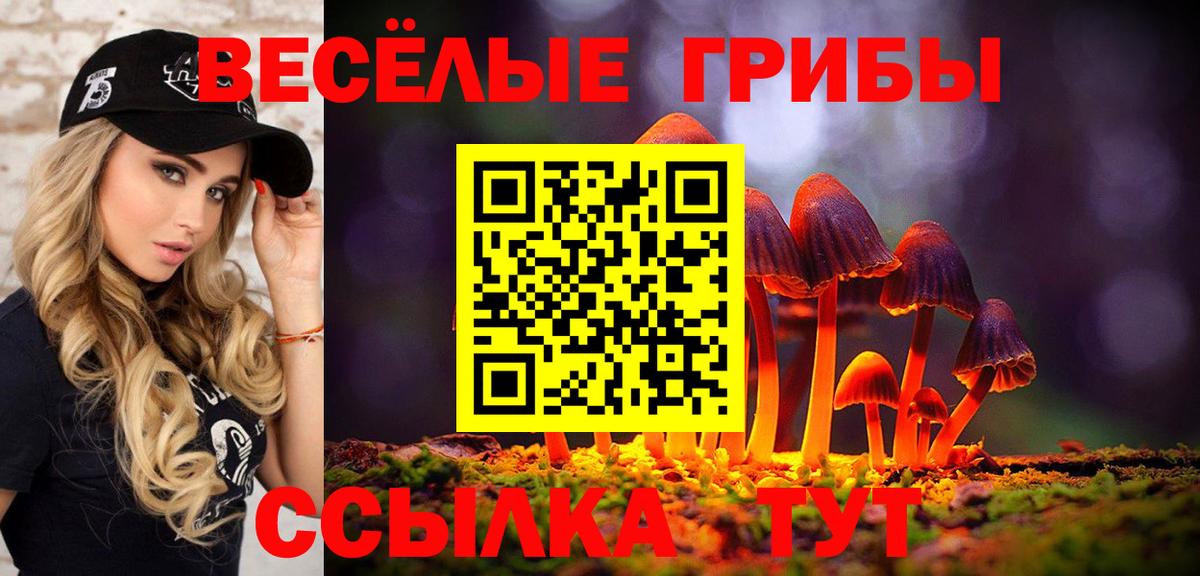 Усть-Кут  Галлюциногенные грибы Psilocybe  Псилоцибиновые грибы прущие грибы  Вход с VPN 